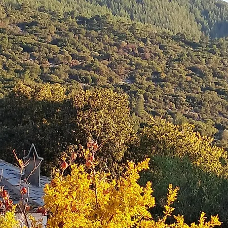 El-mi's Little House In Διαμέρισμα *