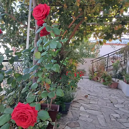 El-mi's Little House In شقة *